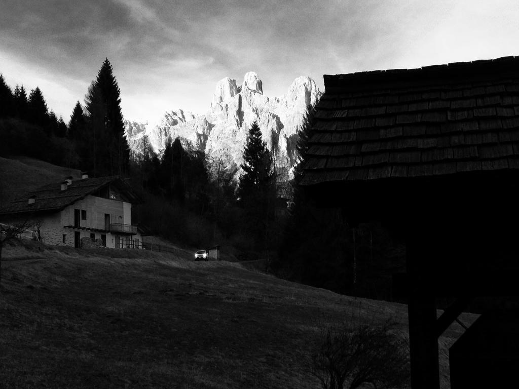 Family La Perla